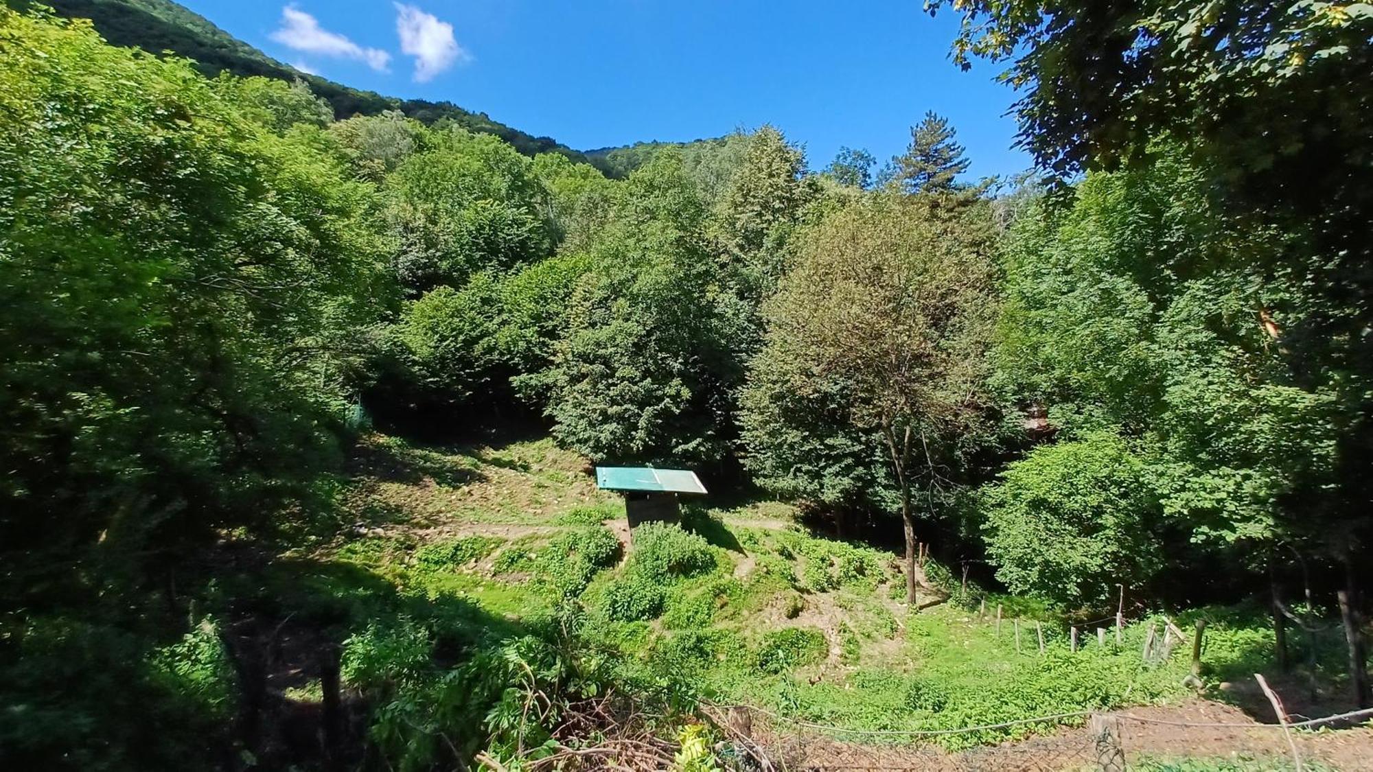 La Stanza Del Bosco Daire Arcumeggia Dış mekan fotoğraf