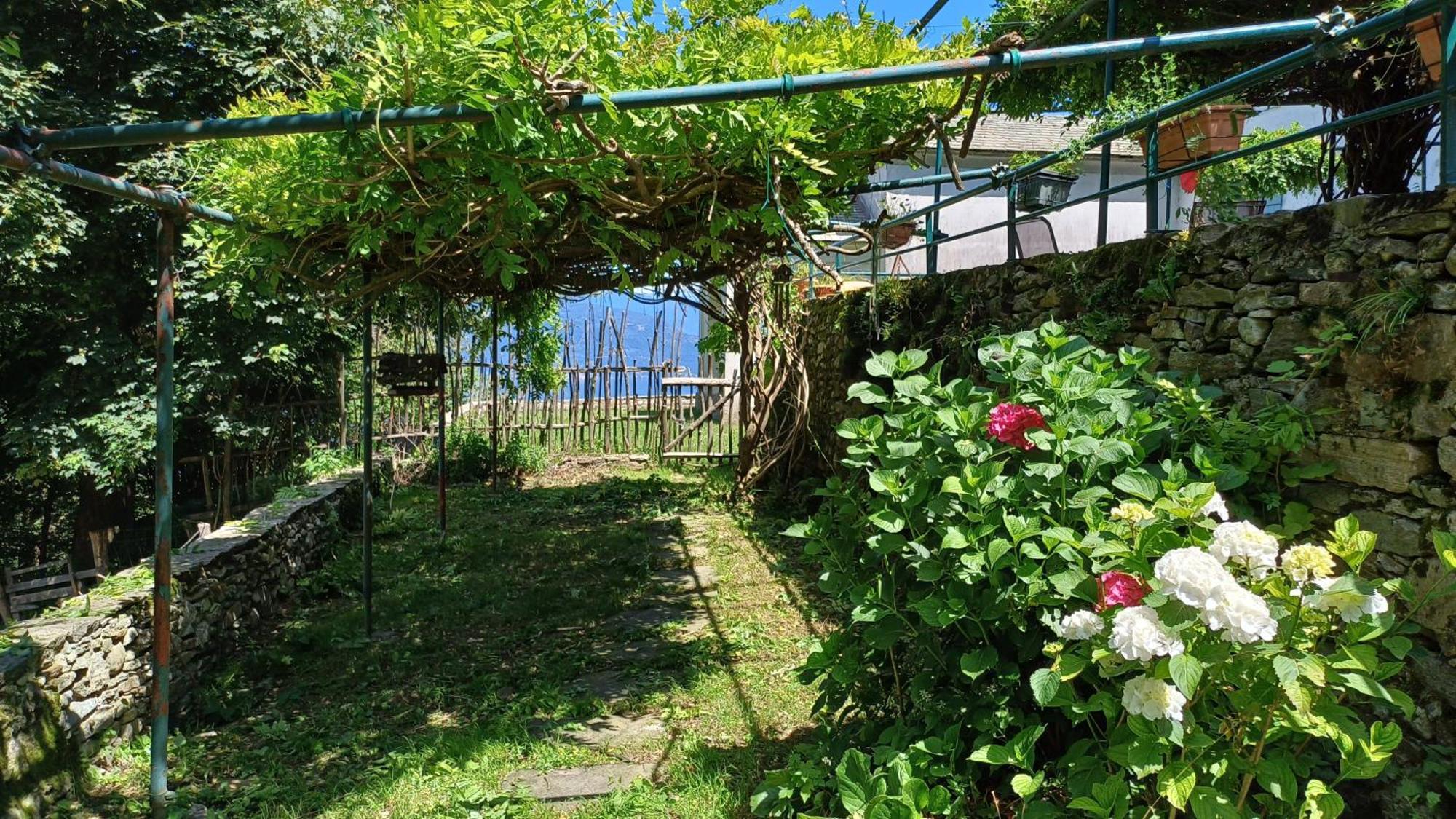 La Stanza Del Bosco Daire Arcumeggia Dış mekan fotoğraf