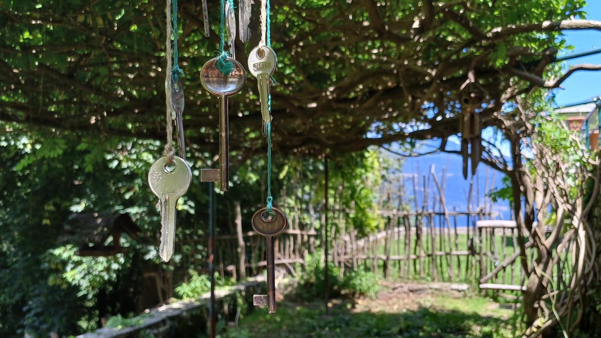 La Stanza Del Bosco Daire Arcumeggia Dış mekan fotoğraf